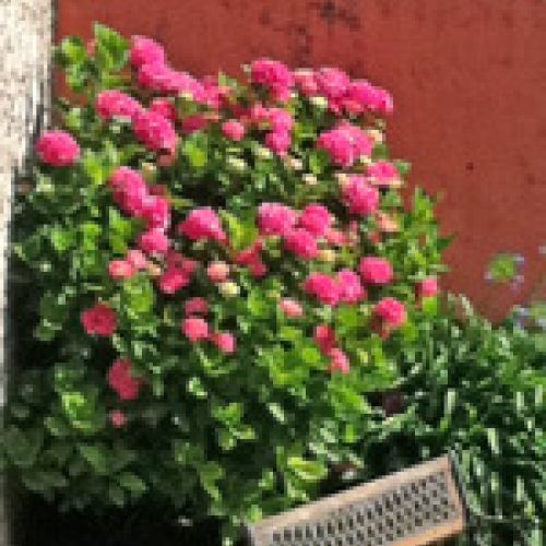 Entorno1